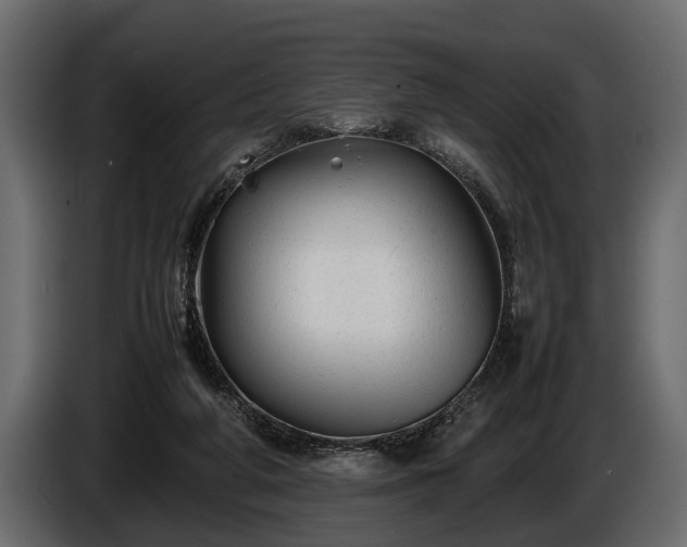 X0000085730210200703231055