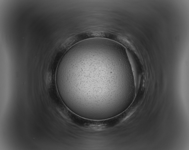 X0000085730213200703231055