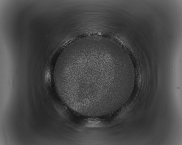 X0000085730214200703231055