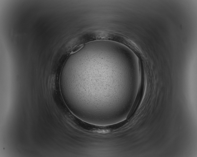 X0000085730217200703231055