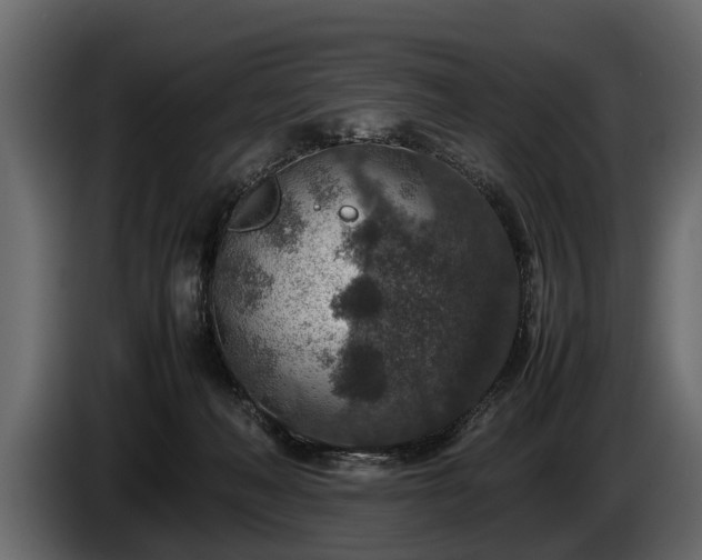 X0000085730222200703231055