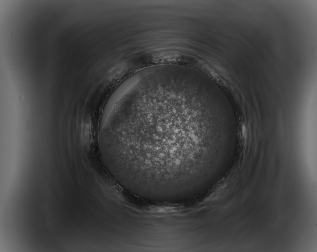 X0000085730224200703231055