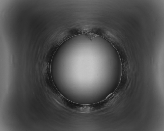 X0000085730225200703231055