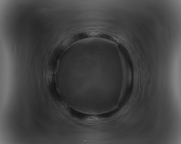 X0000085730227200703231055