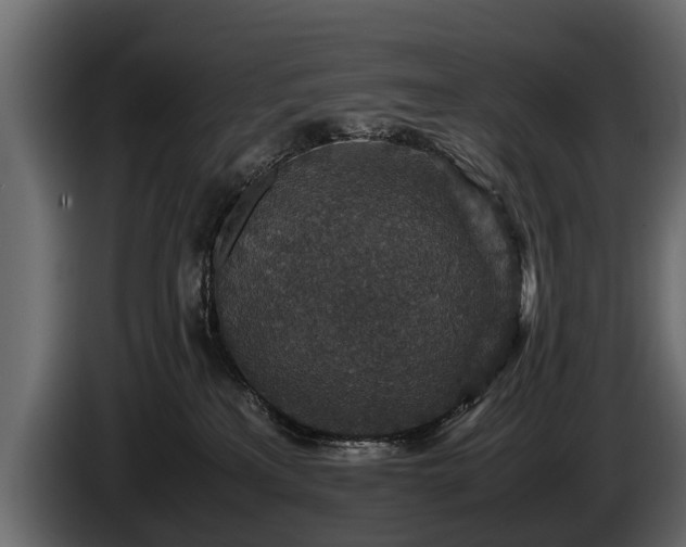 X0000085730233200703231055