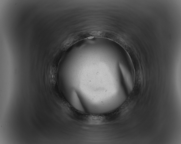 X0000085730234200703231055