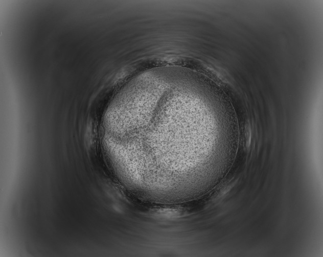 X0000085730236200703231055