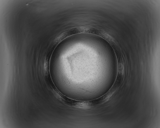 X0000085730238200703231055