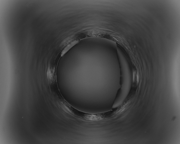 X0000085730239200703231055