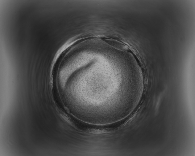 X0000085730246200703231054