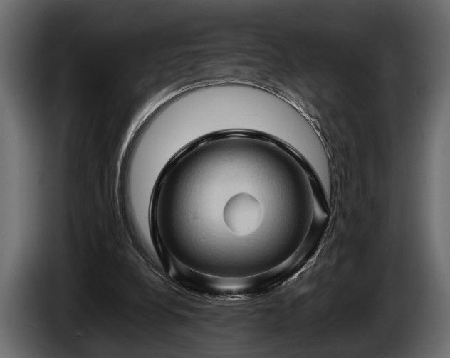 X0000085730248200703231054