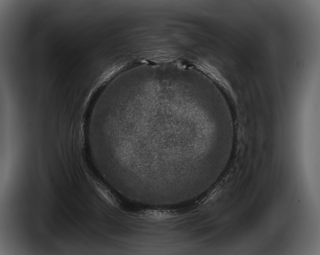 X0000085730250200703231054