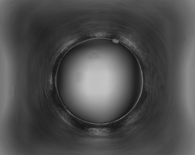 X0000085730251200703231054