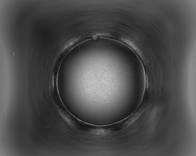 X0000085730253200703231054