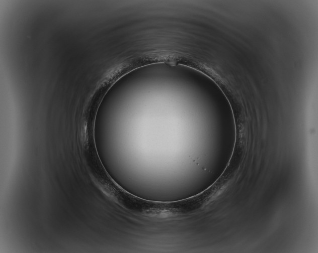 X0000085730254200703231054