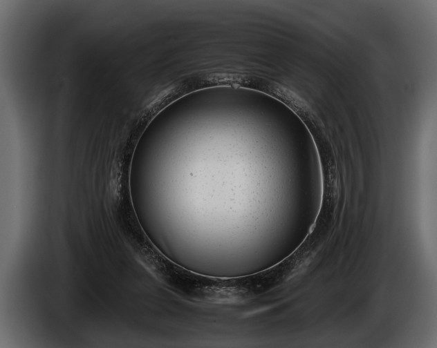 X0000085730255200703231054