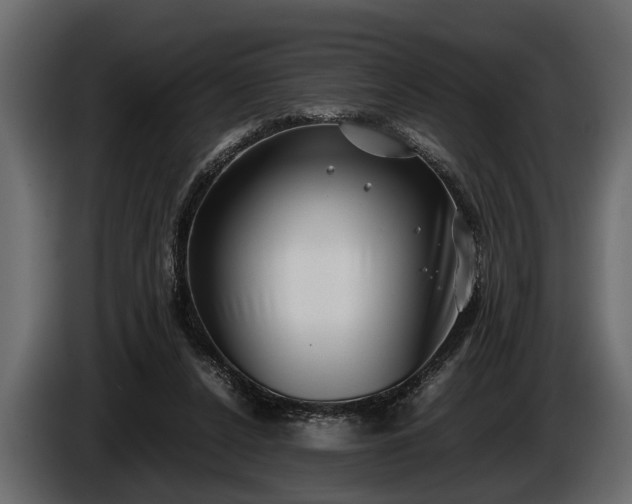 X0000085730256200703231054