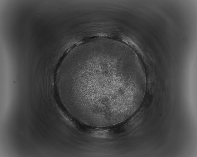 X0000085730257200703231054