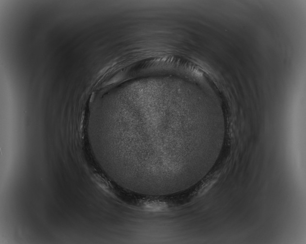 X0000085730258200703231054