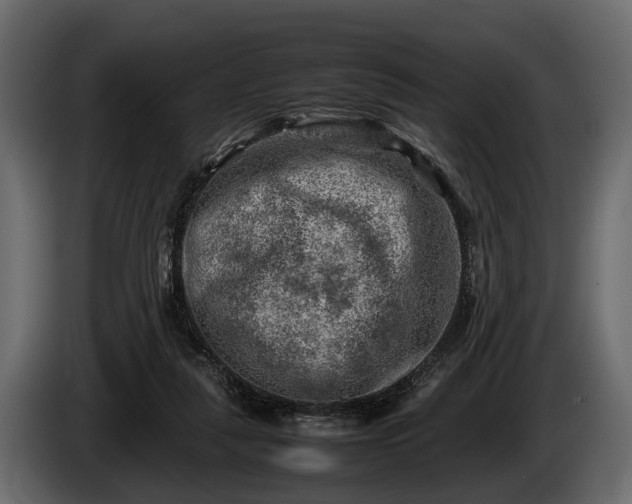 X0000085730259200703231054