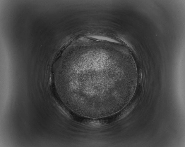 X0000085730261200703231054