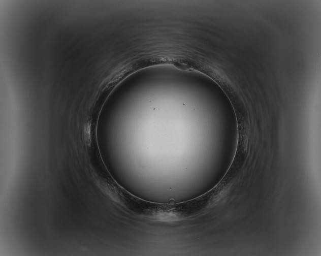 X0000085730262200703231054