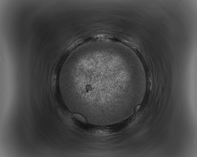 X0000085730263200703231054