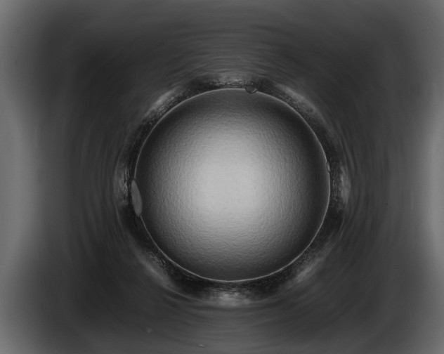 X0000085730264200703231054