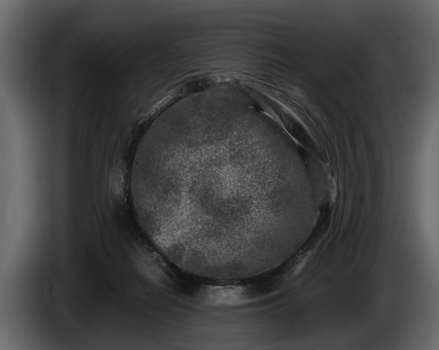 X0000085730266200703231054