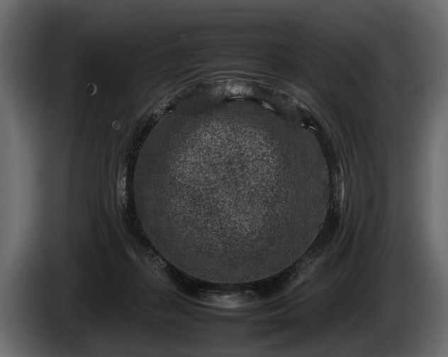 X0000085730267200703231054