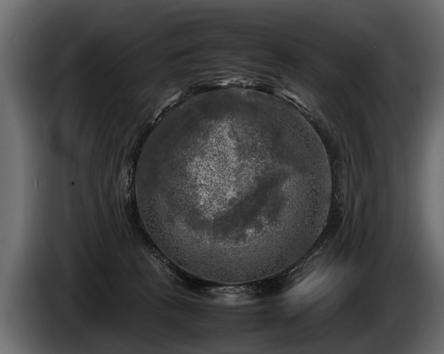 X0000085730273200703231055