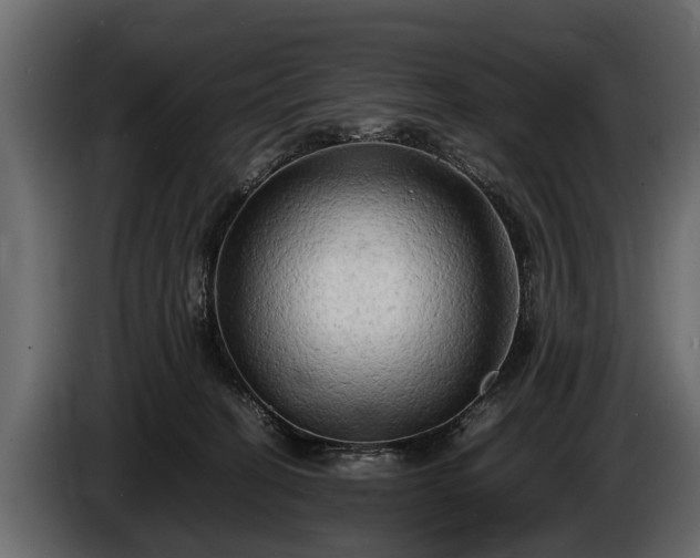 X0000085730274200703231055