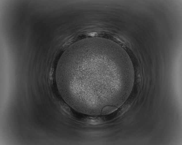 X0000085730275200703231055