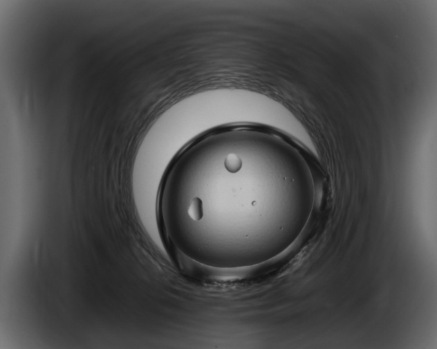 X0000085730276200703231055