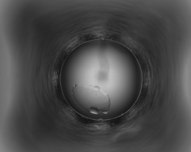 X0000085730279200703231055