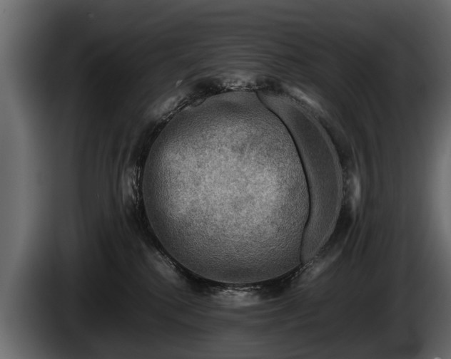 X0000085730280200703231055