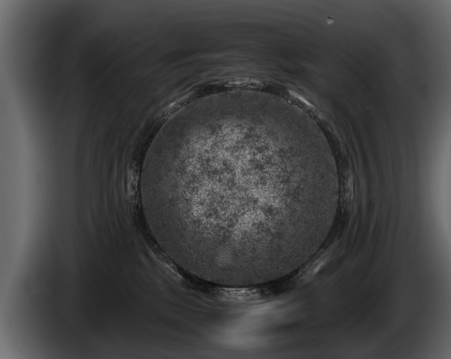 X0000085730281200703231055