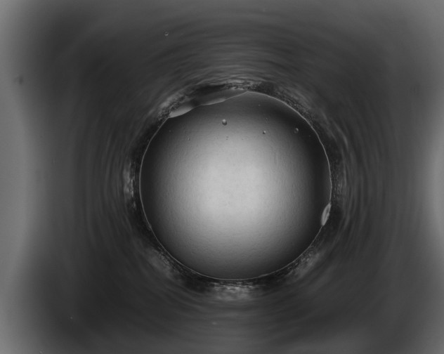 X0000085730282200703231055