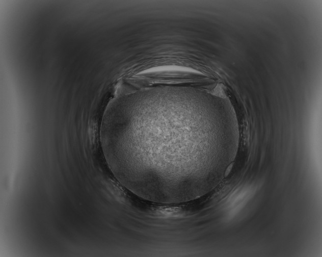 X0000085730283200703231055