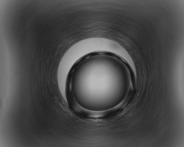 X0000085730284200703231055