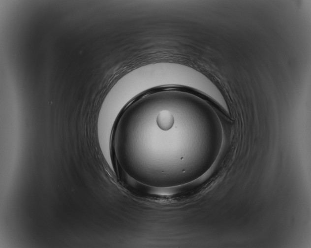 X0000085730288200703231055