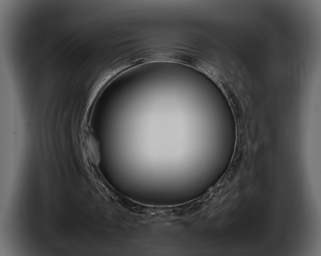 X0000085730289200703231054