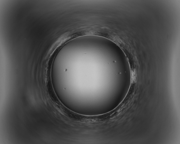 X0000085730291200703231054