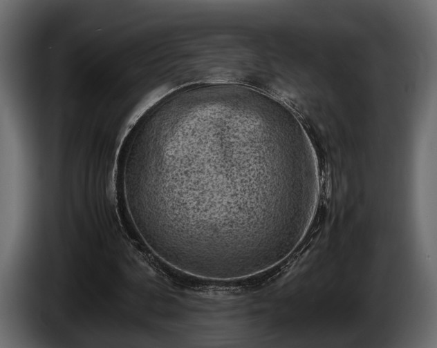 X0000085730292200703231054