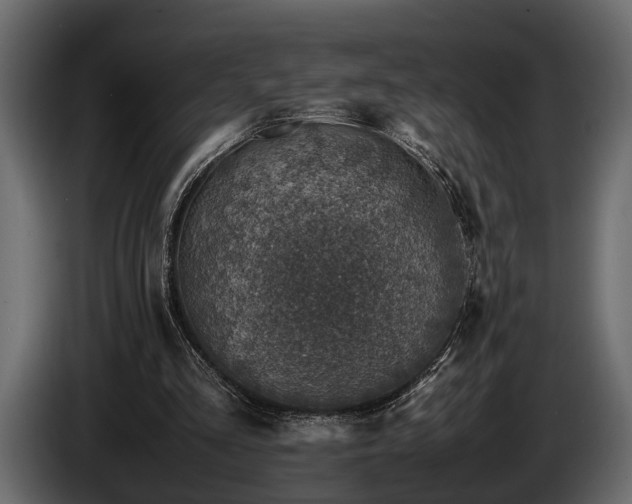 X0000085730293200703231054