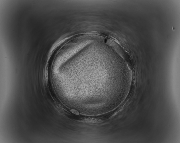 X0000085730294200703231054