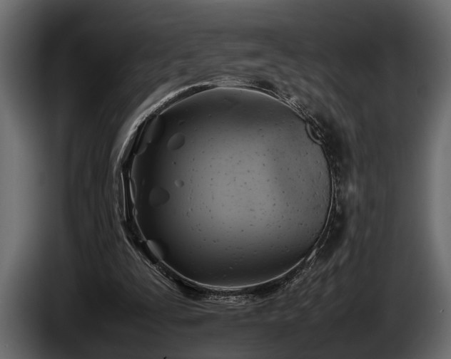 X0000085730295200703231054