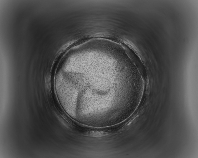 X0000085730298200703231054