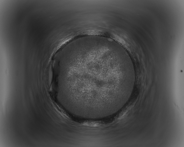 X0000085730299200703231054