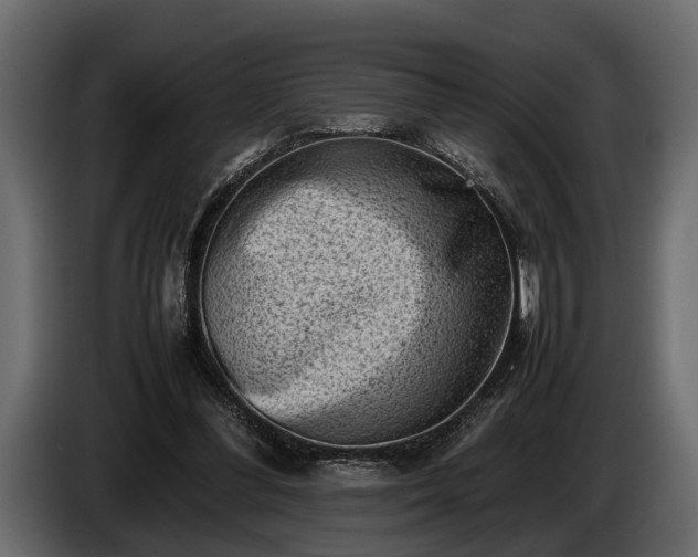 X0000085730300200703231054